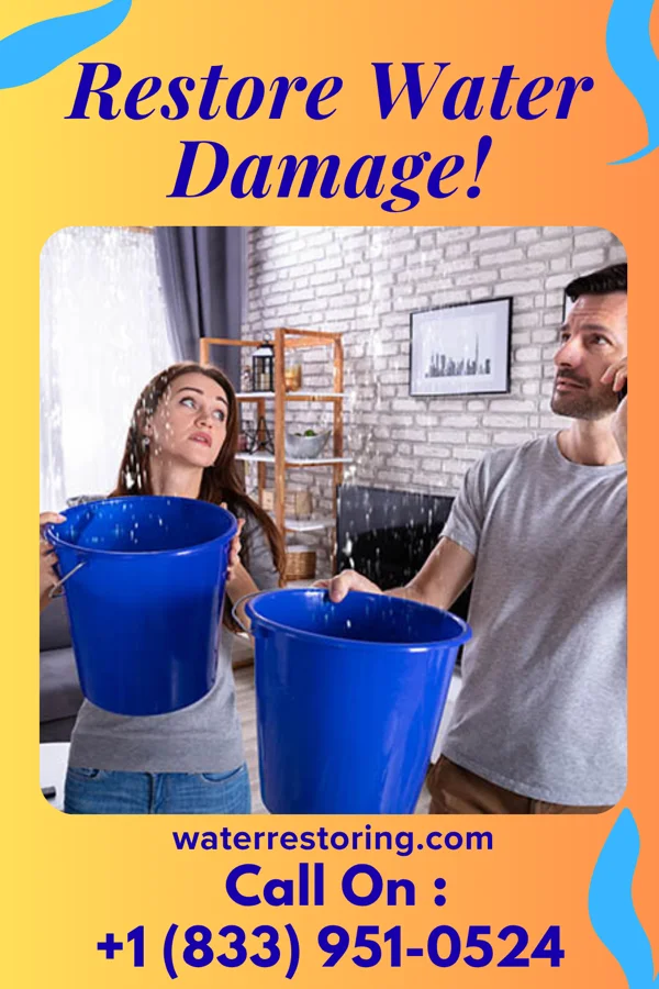 water restoration Capital Water Damage & Associates Elgin
