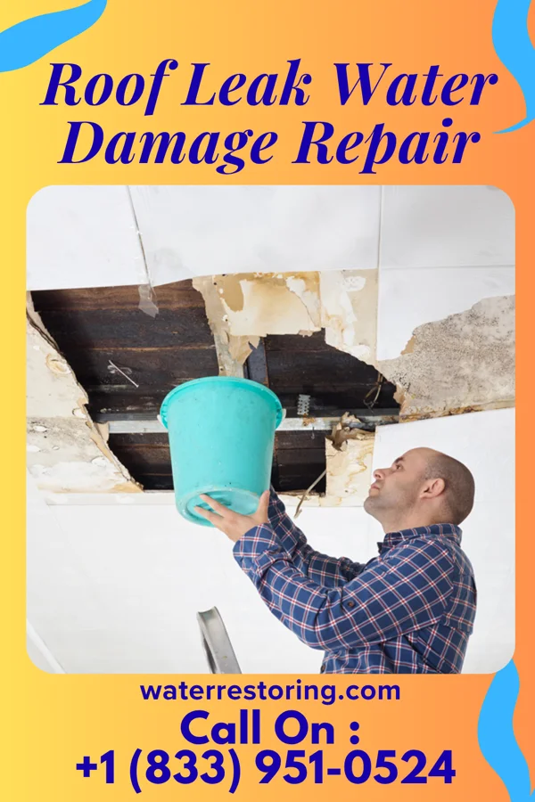 Roof Leak Water Damage Repair in Elgin, OH