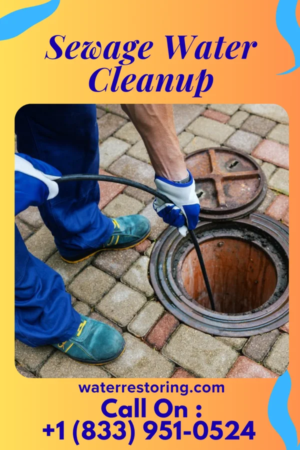 Sewage Water Cleanup in Elgin, OH